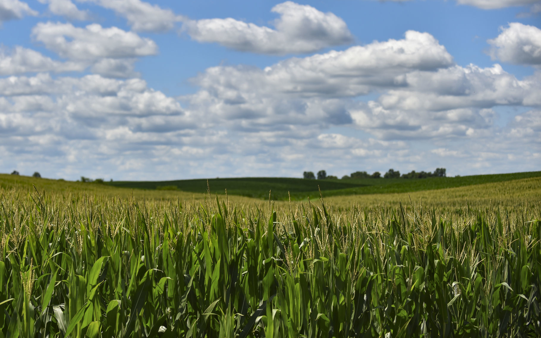 072019-mda-nws-ruralpopulation-20.jpg